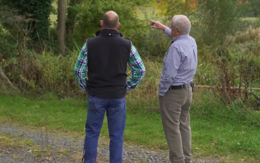 The free resource includes sections on identifying and assessing ash dieback, as well as protecting and restoring trees on-farm (Photo: LEAF)