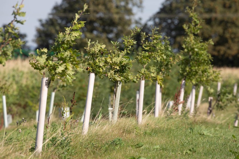 The scheme's extension, for parcels of land over 10 acres, aims to help enhance biodiversity and soil health