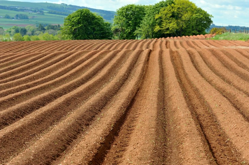 The long-running competition, open to Scottish farmers, highlights the importance of maintaining healthy soils