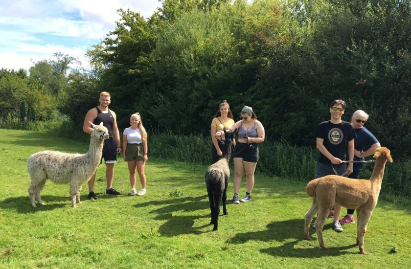 Alpaca walking is a great way to get outdoors and enjoy nature while also providing a source of income for farmers