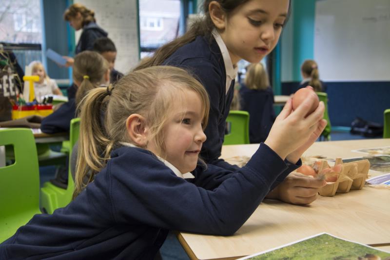Schoolchildren across England and Wales will learn how core science topics are integral to farming (Photo: NFU Education)