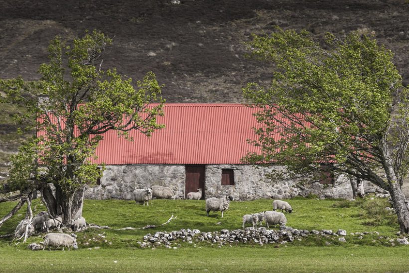 This scheme provides grants for crofters to maintain the standards of crofter housing, with the aim of attracting and retaining people