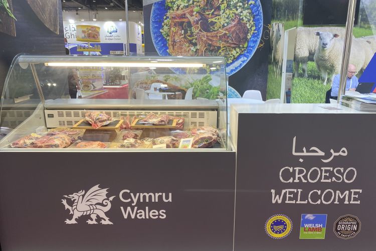 Hybu Cig Cymru (HCC) says a 'world-leading system of traceability' will help avoid future problems for the beef and lamb sector