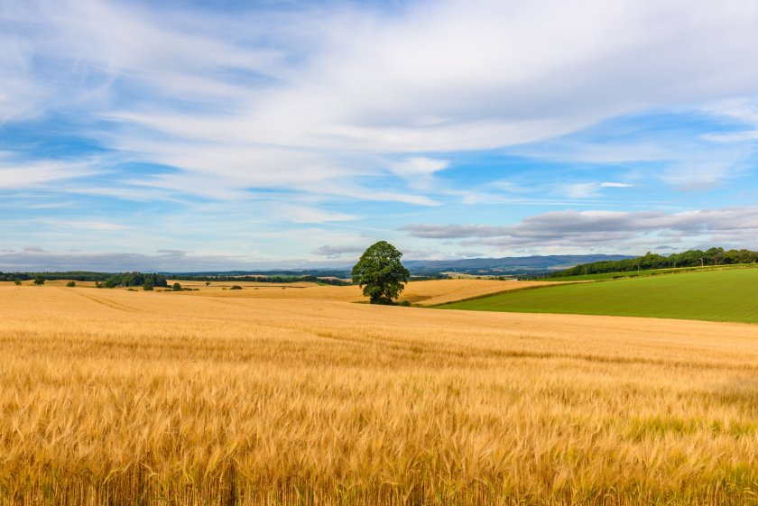 Categories such as cereals and meat saw strong growth last year, new figures published by HMRC show