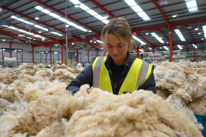 Defra's review recognised the co-op's role in the supply chain from collecting and marketing wool, as well as delivering shearing courses