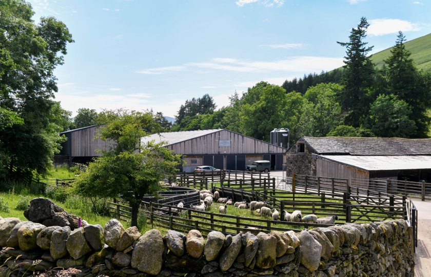 The 18-month role begins in September, with the successful applicant starting the programme on the charity's farm