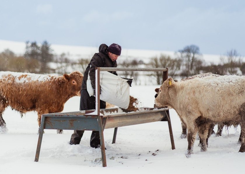 Shirley McNiven, who runs a sheep and cattle farm in Aberdeenshire, stars in the latest blog