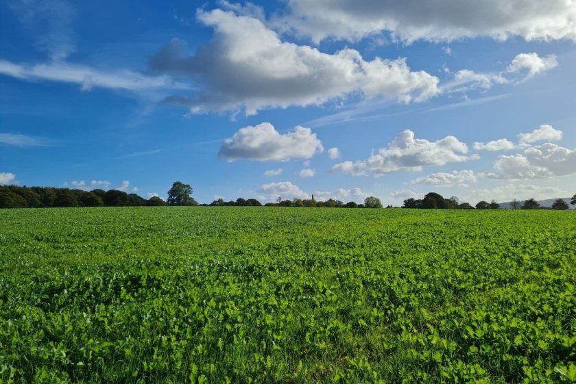 The trial at Lower House Farm, in Cheshire, utilised the Soil Mineral Nitrogen (SMN) Plus system by Compass Agronomy