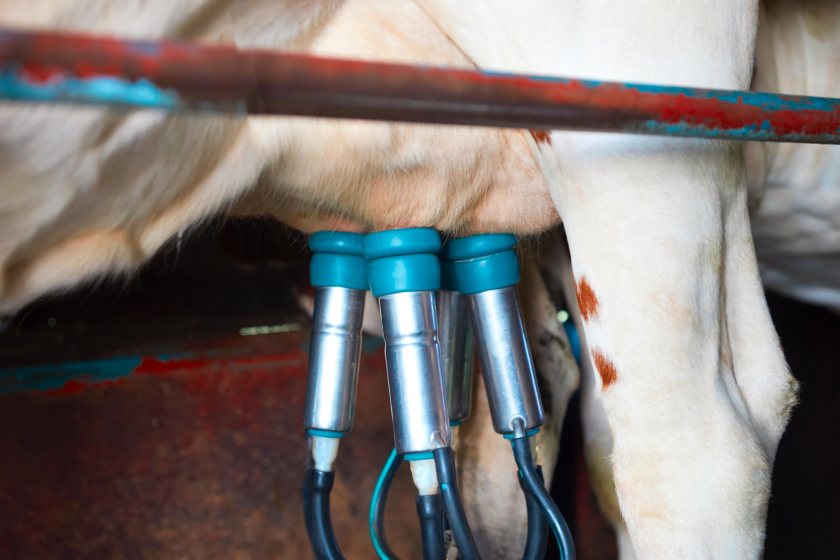 The farmer-owned co-op said its operating profit was £28.7 million in 2022, a rise of £5.1 million (15%)