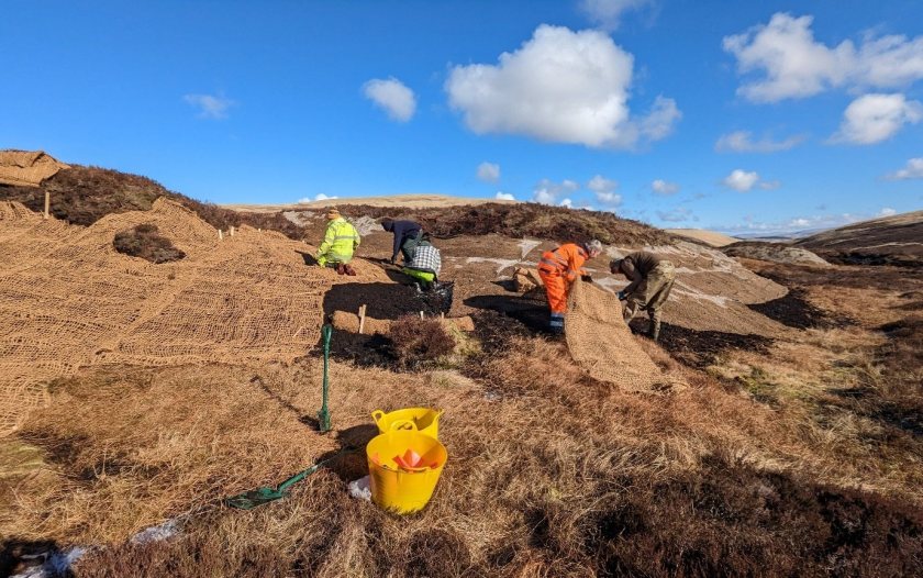 A new report has identified 28 sites on the estates where peatland can be restored on land owned by Buccleuch Estates