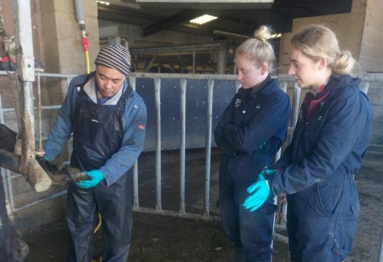 A lack of work experience opportunities a key barrier that young people face when considering a career in UK agriculture