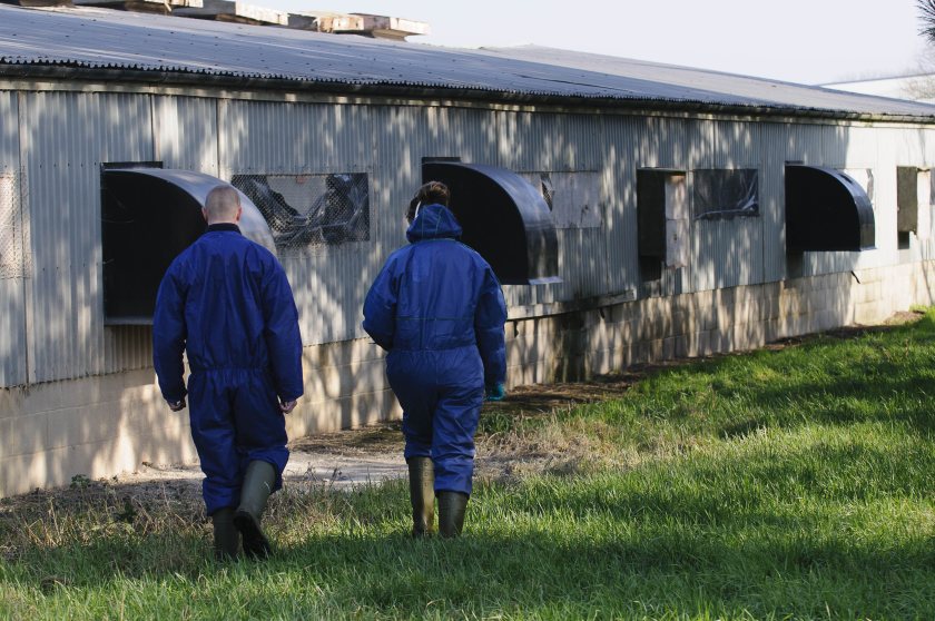 The two poultry workers had recently worked on an infected poultry farm in England, UK Health Security Agency explained