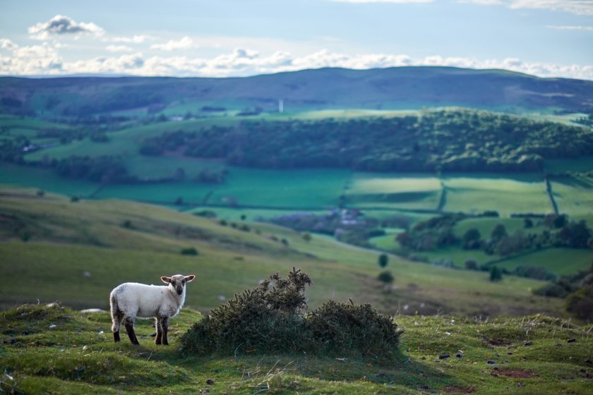 The landmark legislation will provide the framework for future agriculture support in Wales