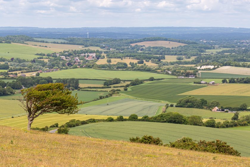 Defra said the new Forum will meet regularly and consider how the sector is progressing throughout the agricultural transition