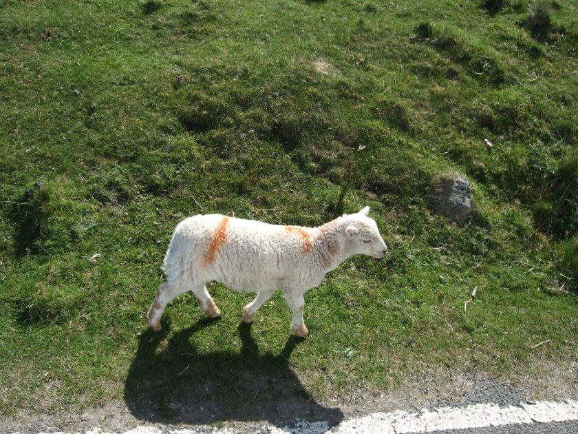 The shocking incident happened on a farm in Newent over the weekend, and police are appealing for information