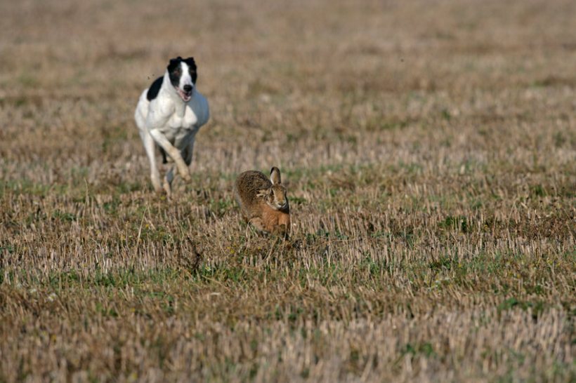 A single incident can cause thousands of pounds worth of damage to land and crops, and see farmers violently abused