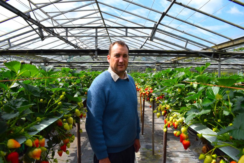 Graham Collett, who runs a Hampshire farm and farm shop, said any restrictions on migration could create significant difficulties for farmers