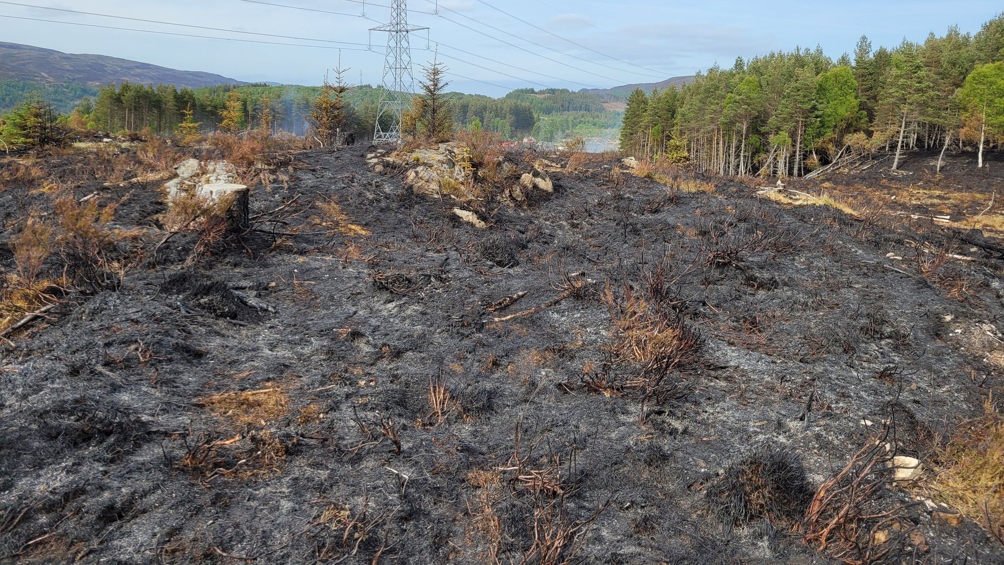 (Photo: Balintore Fire Station/SFRS)