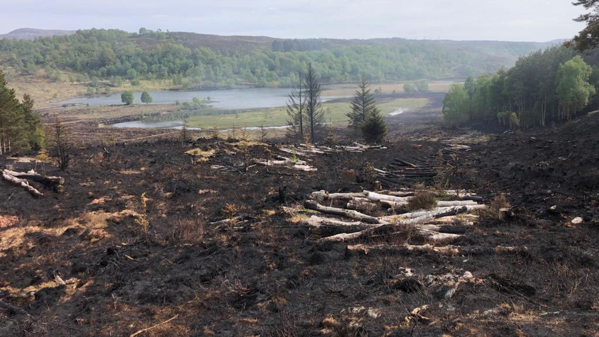 (Photo: Balintore Fire Station/SFRS)