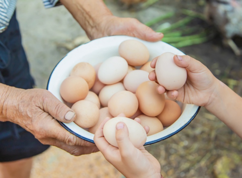 Originally aimed at egg suppliers, the platform has broadened its scope
