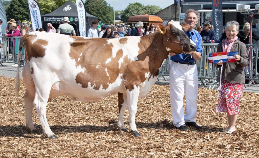 The coveted Supreme Champion title went to Les and Tracy Rockett’s eight-year-old Ayrshire