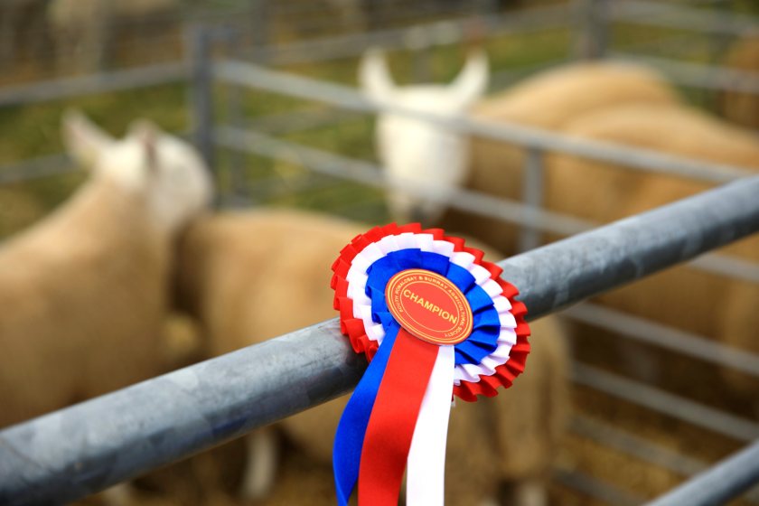 The grant aims to help Scottish agri shows recover and thrive following significant financial challenges over the past couple of years