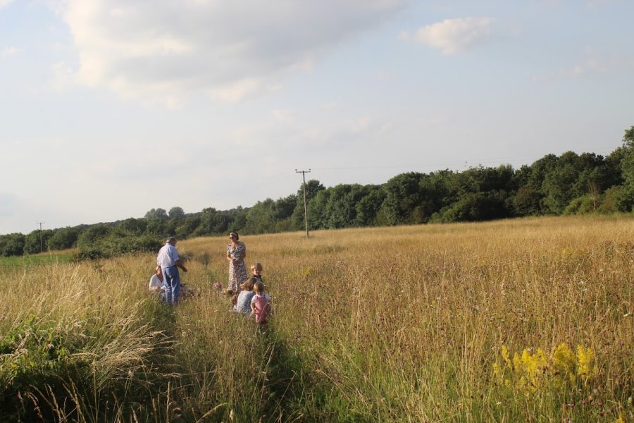 The family farm has taken part in a biodiversity research series by Pasture for Life