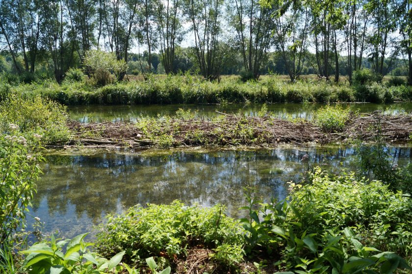 Joe Edwards manages the Middleton Estate, which has improved the water quality along a three-mile stretch