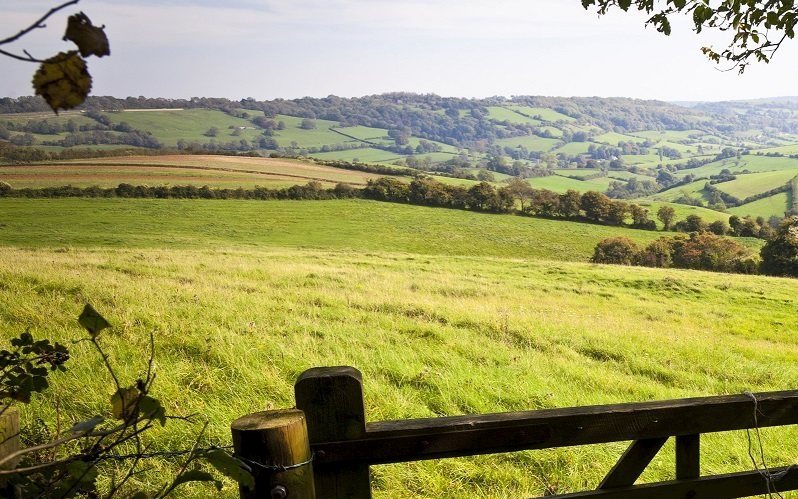 Delinking has made entitlements valueless since mid-May and sees cross-compliance end with this year (Photo: CAAV)