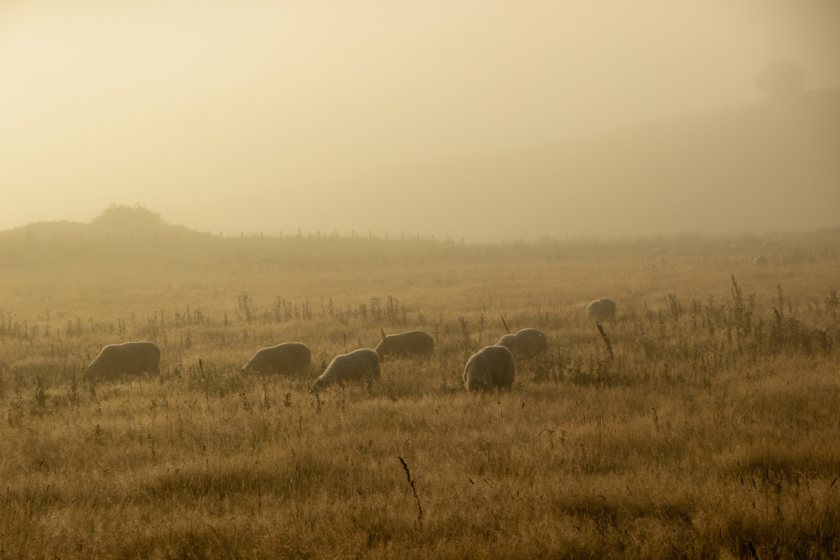 NFU Scotland says that the Scottish government is losing the support of the country's farmers and crofters