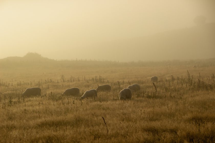 NFU Scotland says that the Scottish government is losing the support of the country's farmers and crofters