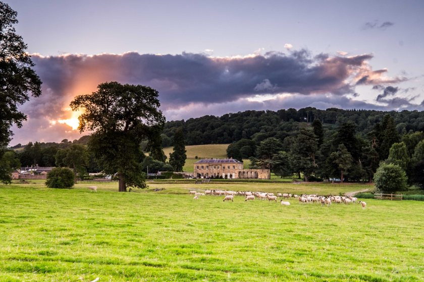 Rhug Estate, which consists of 12,500 acres, exports premium lamb from Wales to hospitality markets across Europe