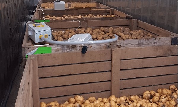 Researchers behind TuberSense say the technology could potentially revolutionise the potato supply chain