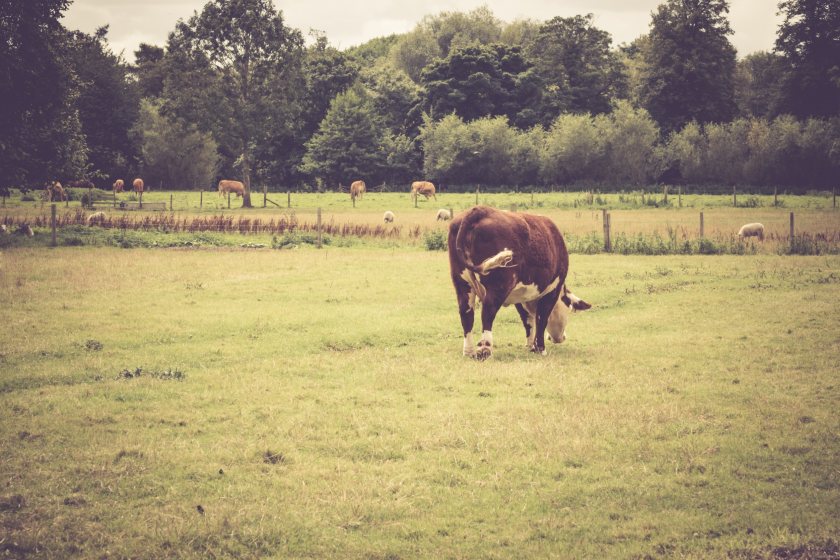 The group, spanning three years, is aimed at challenging current thinking and encouraging the sharing of new ideas