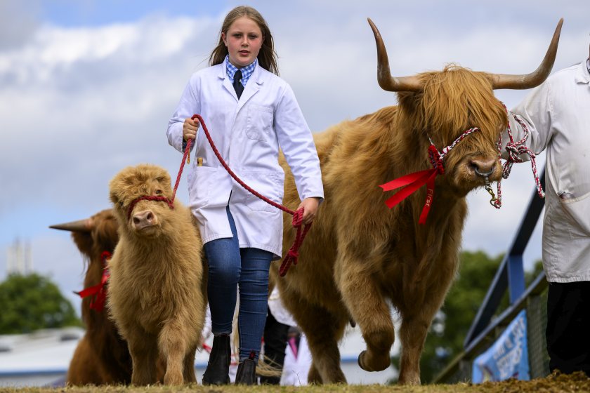 The 2023 Royal Highland Show, which returned following a few years of uncertainty, saw its largest-ever attendance