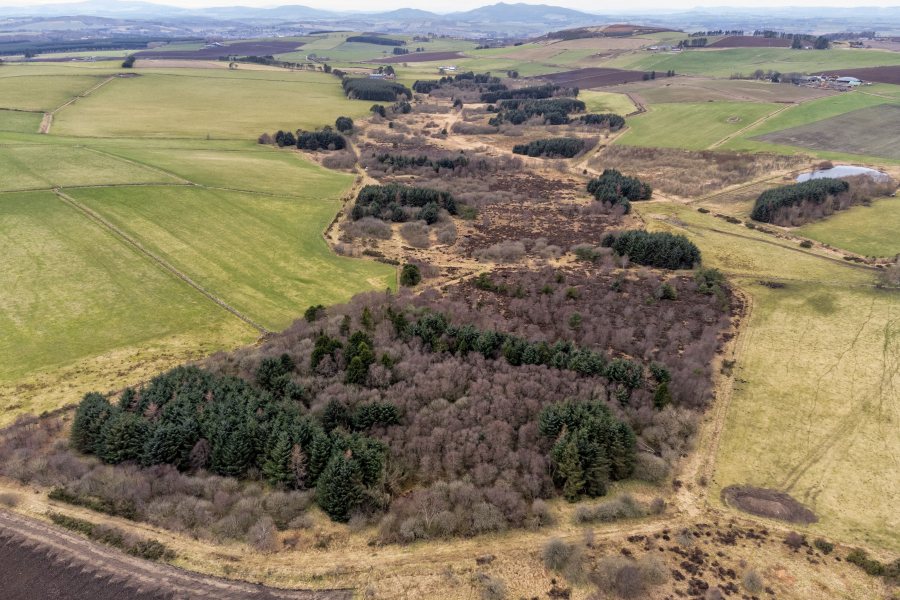 A proportion of the land has historically been cultivated and planted in game crop (Photo: Galbraith)