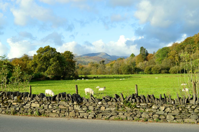 Cumbria Connect has secured £4.1m funding from the government's Endangered Landscapes Programme