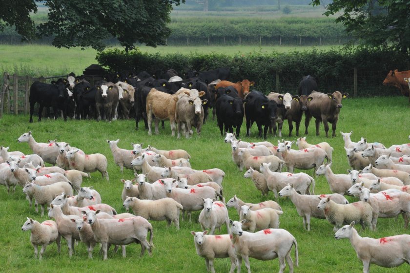 A total of 185 Welsh farms had a detailed carbon audit of their businesses undertaken by Farming Connect (Photo: Farming Connect)