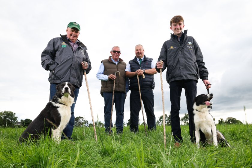 The four-day event is expected to deliver significant economic benefits for Northern Ireland
