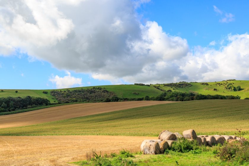 Arable land is currently worth an average of £9,517/acre, which represents a year-on-year increase of 6.4%