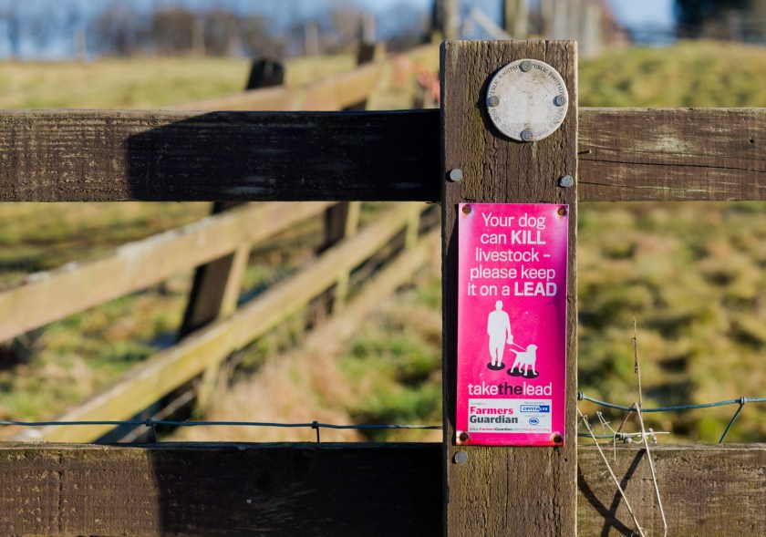 Public footpath marking on fence with the warning ‘Your dog can KILL livestock - please keep it on a LEAD’