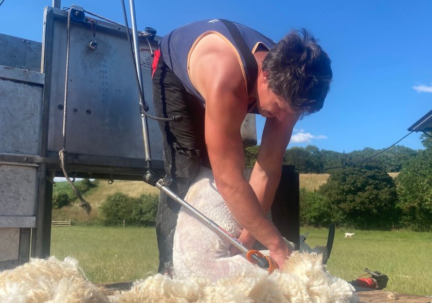 Steve Rowberry will be doing an 8 hour lamb shearing record, setting a new British record (Photo: British Wool)