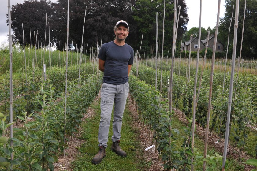 Tom Adams grows fruit trees on a 2.6 hectare site in Weston Rhyn, near Oswestry (Photo: Farming Connect)