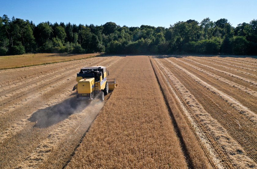 A new paper shows the next steps in addressing issues that discourage tenant farmers tree planting (Photo: Scottish government)