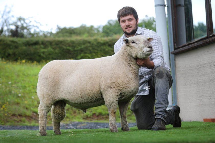 Lancelot had also been first prize shearling and reserve male champion at the 2022 National Show