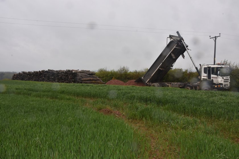 Overhead power lines typically carry electricity at voltages similar to the 11 kV in this case, but can go up to 400 kV (Photo: HSE)