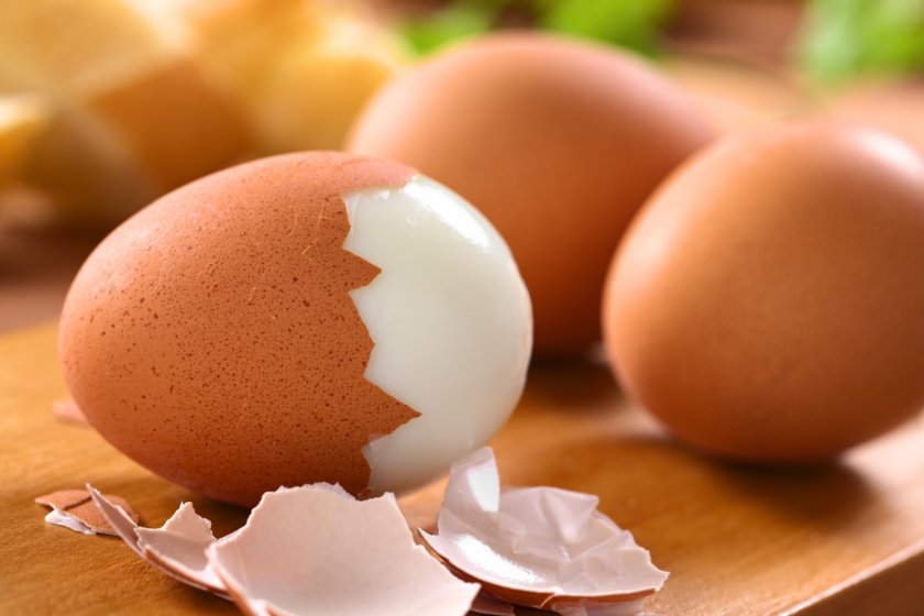  Misconceptions around the environmental impact of eggs and their place in a healthy sustainable diet are common, the paper says