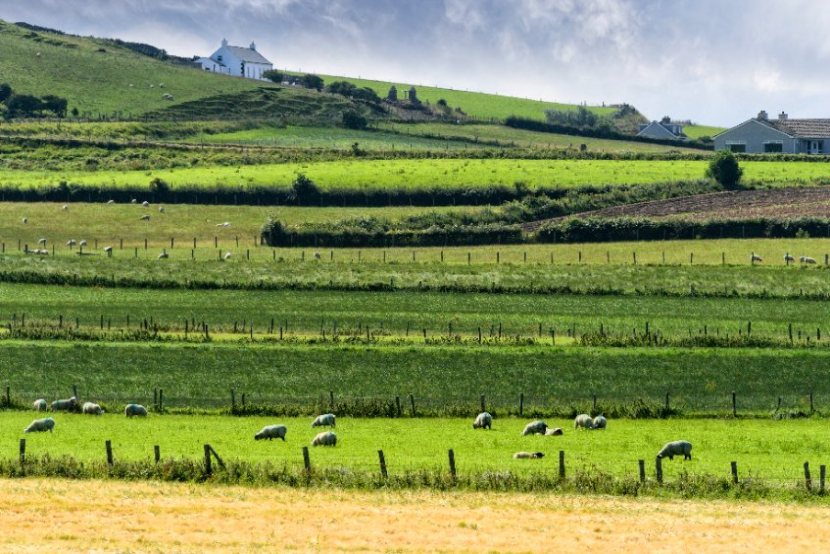 Around 23,400 farmers - or 98% of eligible applicants - have received the payments, DAERA confirmed