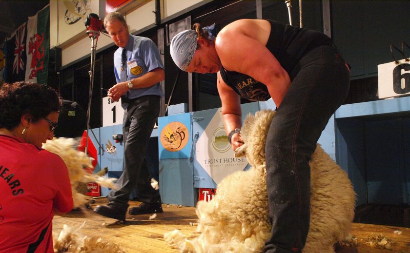 Una Cameron has sheared in sheds across the UK, Australia, New Zealand and Norway