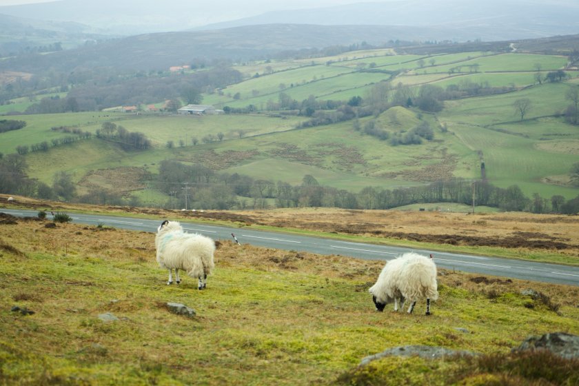 Cumbrian farmer James Robinson has accused Defra of 'overlooking' upland areas
